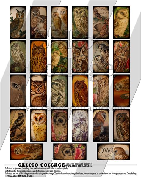 Calico Collage Junk Journal Printable Ephemera Majestic Owls Digital Collage Sheet 1x2 Domino