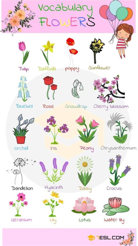 List Of Plant And Flower Names In English With Pictures ESL