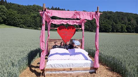 Ein Bett Im Kornfeld Bayerischer Bauernverband