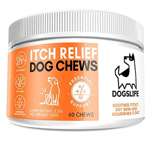 Top 10 Anti Itch For Dogs Supplements Of 2023 Best Reviews Guide