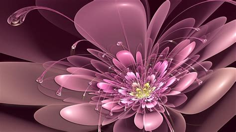 3d Flower Wallpapers Wallpaper Cave