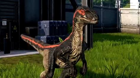 Jwe Red The Velociraptor From Jurassic World Pre Production Youtube