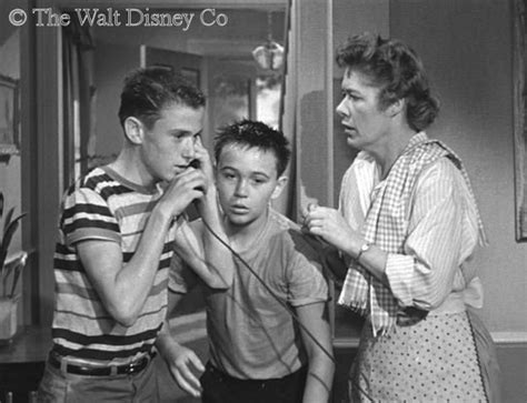 frank and joe hardy and aunt gertrude are puzzled by mysterious phone calls original mickey