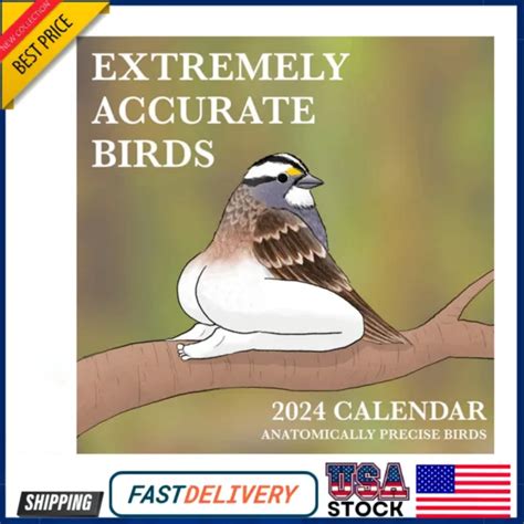 Funny 2024 Calendar Of Extremely Accurate Birds Calendar Wall Calendar