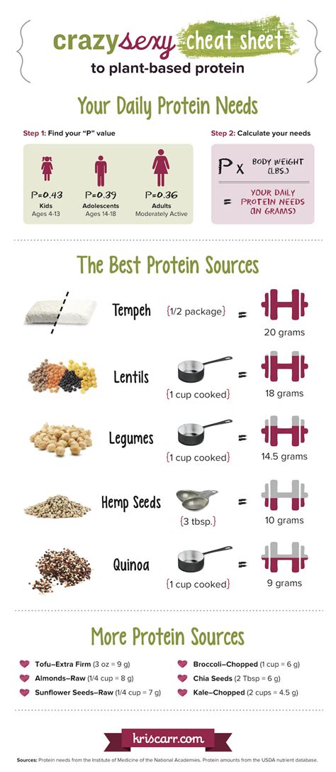 the best sources of plant based protein infographic