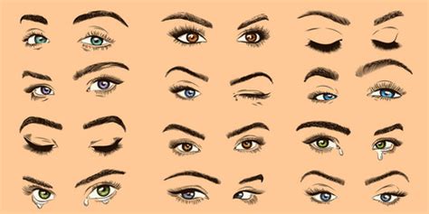 Women Lashes Vector Images Over 650