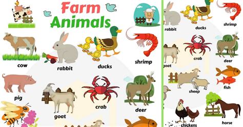Domestic Animals | Farm Animals | Useful List & Great Images • 7ESL