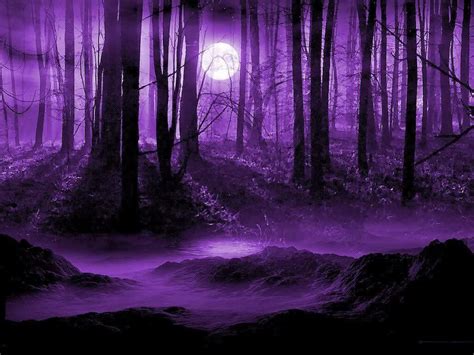 Dark Purple Forest Wallpapers Top Free Dark Purple Forest Backgrounds