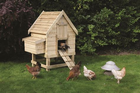 how to build a chicken coop chicken coops designs top tips to building the perfect chicken