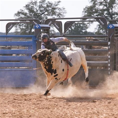 Priefert Adjust A Bull Bucking Chute Kovac Ranch Equipment