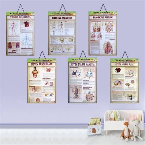 Jual Poster Edukasi Anak Gambar Edukasi Anak Poster Anak Edukasi