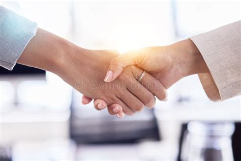 B2B Partnership Support Or Business People Handshake For Welcome