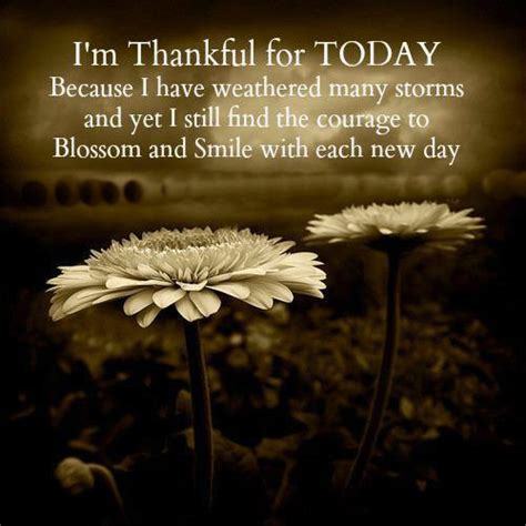 There are lots of things that we need to be thankful every single day.these inlcudes but not limited to air that we breath, smiles from others that we receive, food that we eat, songs that we hear, love that we feel and lot more things and if i will run through it, i need to be here all my life. Razzles Dazzles: I'M THANKFUL FOR TODAY ......