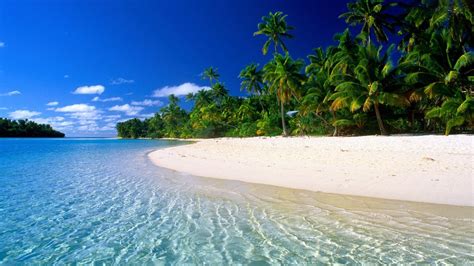 Maldives Beaches True Blue Travel