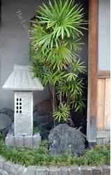 Japanese Garden Landscape Plants Pictures