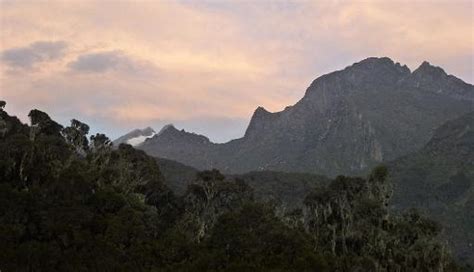 Rwenzori mountains national park is a ugandan national park and unesco world heritage site located in the rwenzori mountains. Vanishing ice warning for 'Africa's Alps'