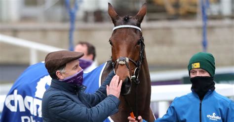 The 2021 cheltenham festival takes place next march, with dates for the highlight of the jump season now confirmed. Cheltenham Festival 2021: Henry de Bromhead on Honeysuckle ...