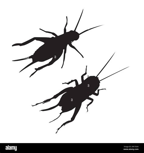 Vector Illustration Of Cricket Silhouette Stock Vector Image And Art Alamy