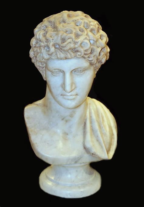 Neo Classical Marble Bust Of Antinous Mt0316 For Sale
