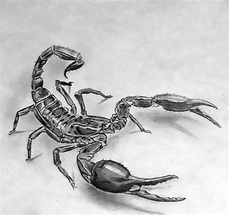 3d Scorpion Tattoo Design