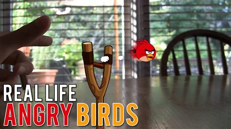 Real Life Angry Birds Youtube