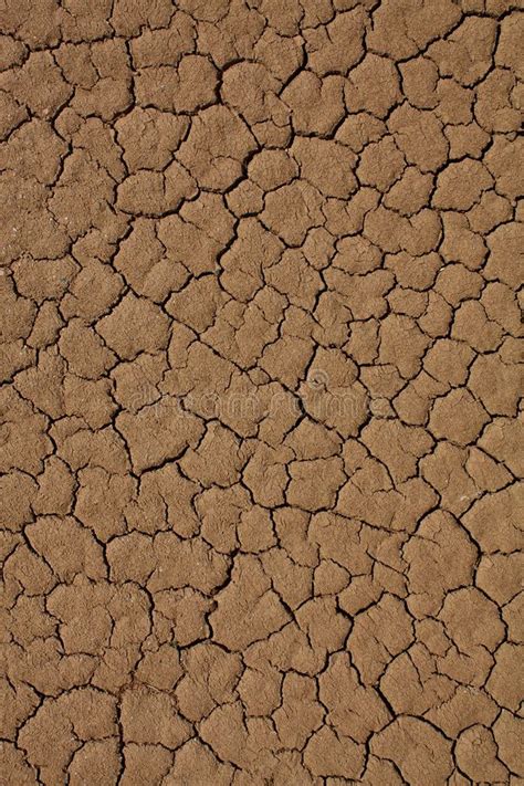 Cracked Desert Background Texture A Dry Cracked Desert Background