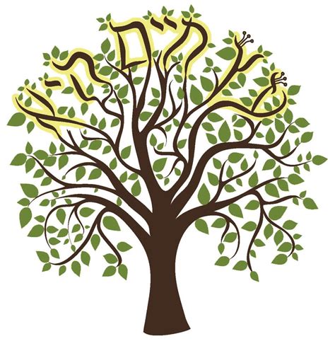 A continuously growing list of every item in tree of life, including how to get them and what they're used for. Tree of life - Gesher Jewish Day School