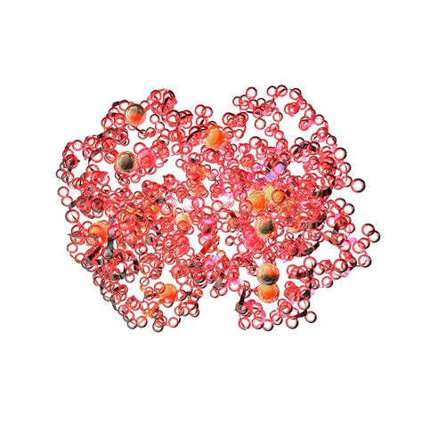 Haemoglobin Molecule Photograph By Animate Comscience Photo Libary