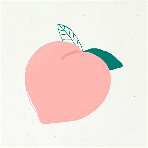 Free Illustration Images Fruit Illustration Illustrations Peach