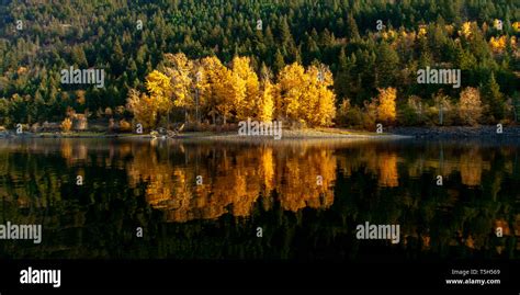Canada British Columbia Shuswap Lake In Autumn Stock Photo Alamy