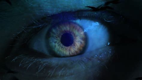 Eye Iris Pupil Macro Reflected Light Stock Footage Video 100 Royalty