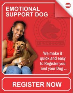 Legitimate emotional support animal letters provided by mango clinic valid in all 50 states. Emotional Support Dog- its a thing! Along with a note from ...