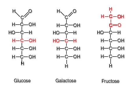 Molecular Structure Of Glucose Fructose And Galactose