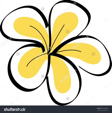 Drawing Tropical Plumeria Flowers Vector Preview Save To A Lightbox