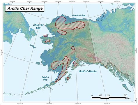 Arctic Char Range Map Alaska Department Of Fish And Game