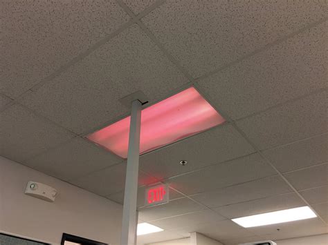 This Fluorescent Light At My Office Turned Pink Today