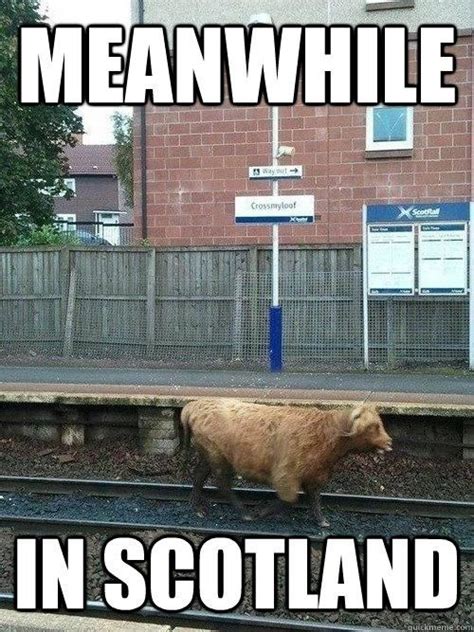 Scottish Things That Make Us Laugh At Craigend Bandb Scottish Humour