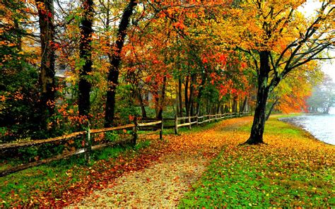 Download Fall Colors Wallpaper Background By Veronicao Fall Colors