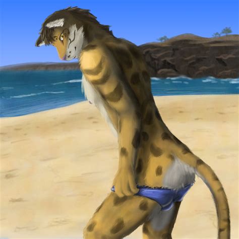 Rule 34 Anthro Beach Bulge Clothing Clouded Leopard Felid Hi Res Leopard Likulau Male Mammal