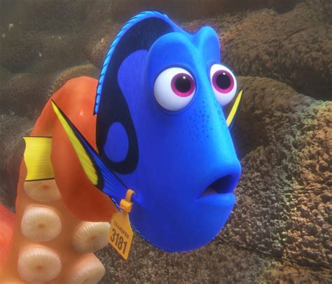 Review Finding Dory Is Missing Nemo Magic