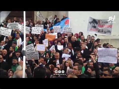 محامو الجزائر يحتشدون مجددا للمطالبة بتنحي بوتفليقة فورا فيديو dailymotion