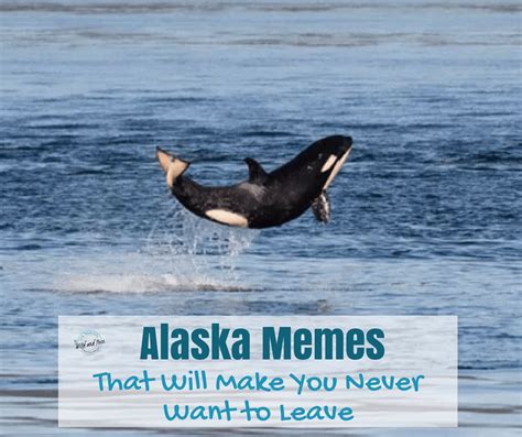 Alaska Memes That Will Make You Never Want To Leave