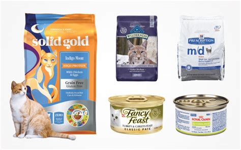 Best canned food for diabetic cats. Best Diabetic Cat Food in 2019 For Your Cat Better Health ...