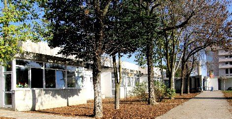 In natura gli animali, quando inseguono una preda, utilizzano fisicamente la stessa accelerazione che dal 1997 accordo mette gratuitamente a disposizione di chi fa musica contenuti di qualità altissima. Scuola primaria S.M. Goretti | Istituto Comprensivo ...