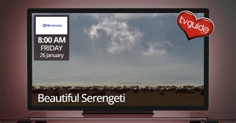 beautiful serengeti pbs america tv guide