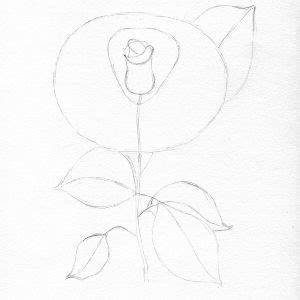 Trandafirul reprezintă una dintre cele mai populare și bogată în sortimente floare care colorează și parfumează majoritatea grădinilor din lumea întreagă. Un Peisaj Cu Trandafiri In Creion / Cristina Vivi Art Home ...