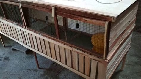 Hal ini dilakukan para peternak ayam demi menghasilkan ayam aduan juara. √ Cara Membuat Kandang Anak Ayam | Desain, Ukuran & Estimasi Biaya