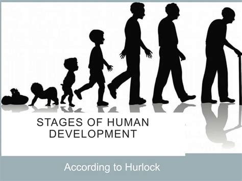 Stages Of Human Development According To The Hurlock Ppt