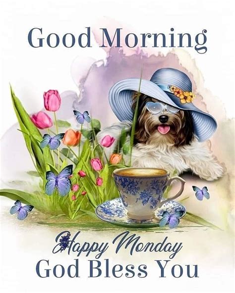 Good Morning Happy Monday God Bless You Pictures Photos And Images