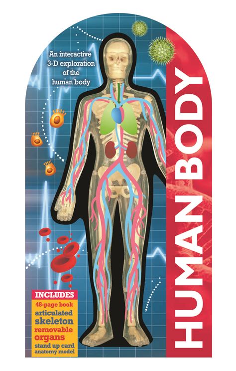See Inside The Human Body By Anna Claybourne
